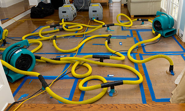 Professional Sewage Cleanup technician working in Waverly, TN